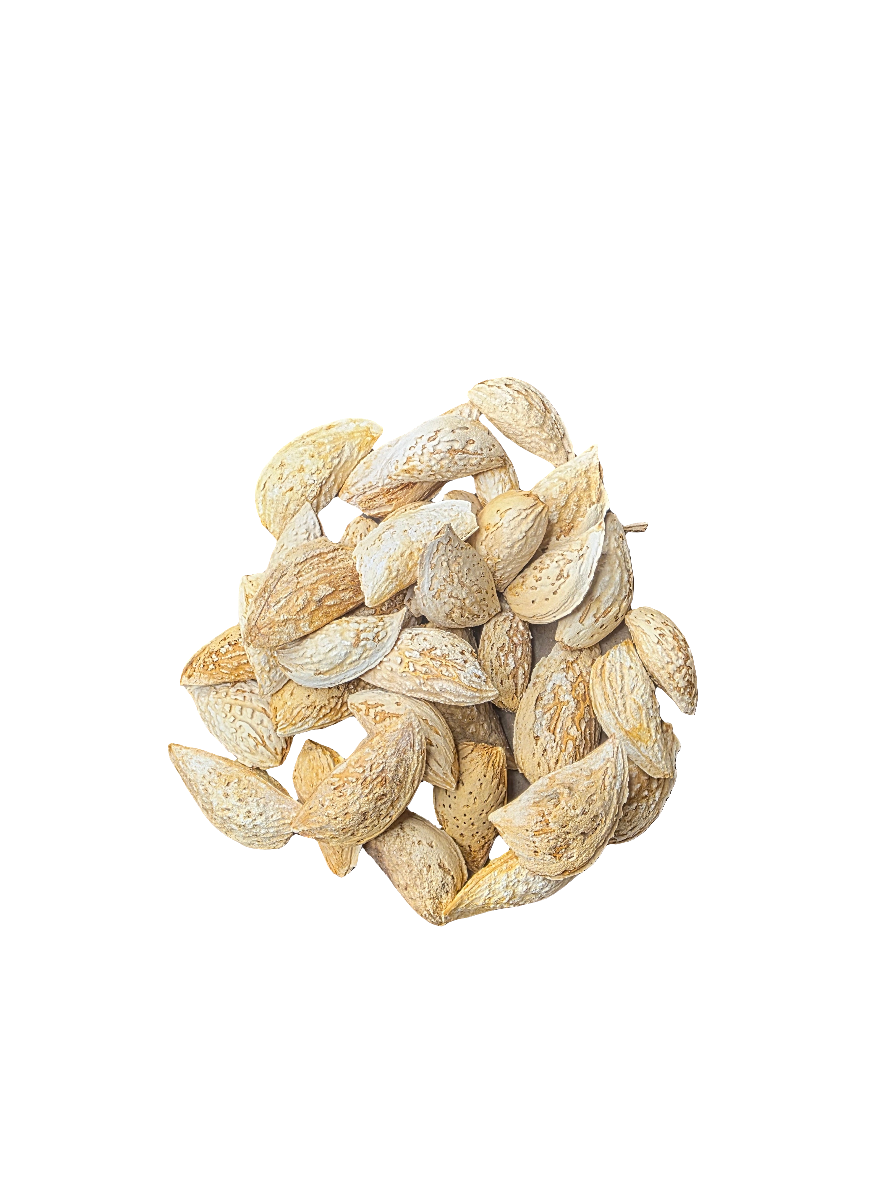 Naturella Mandlar med skal från Afghanistan / Takhar