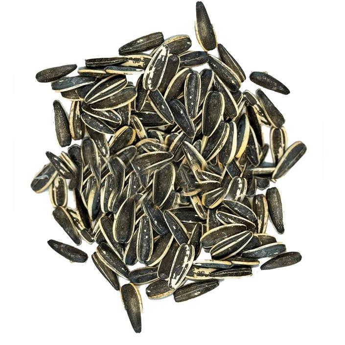 Rostade/saltade Solrosfrön 500g