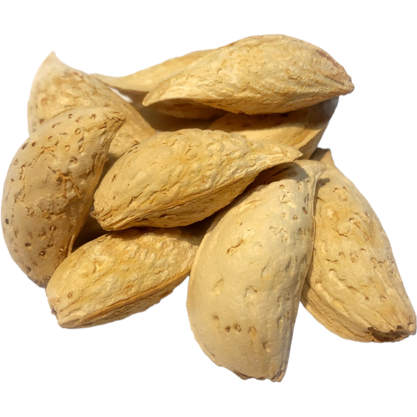 Mandel med skal från Afghanistan 500g