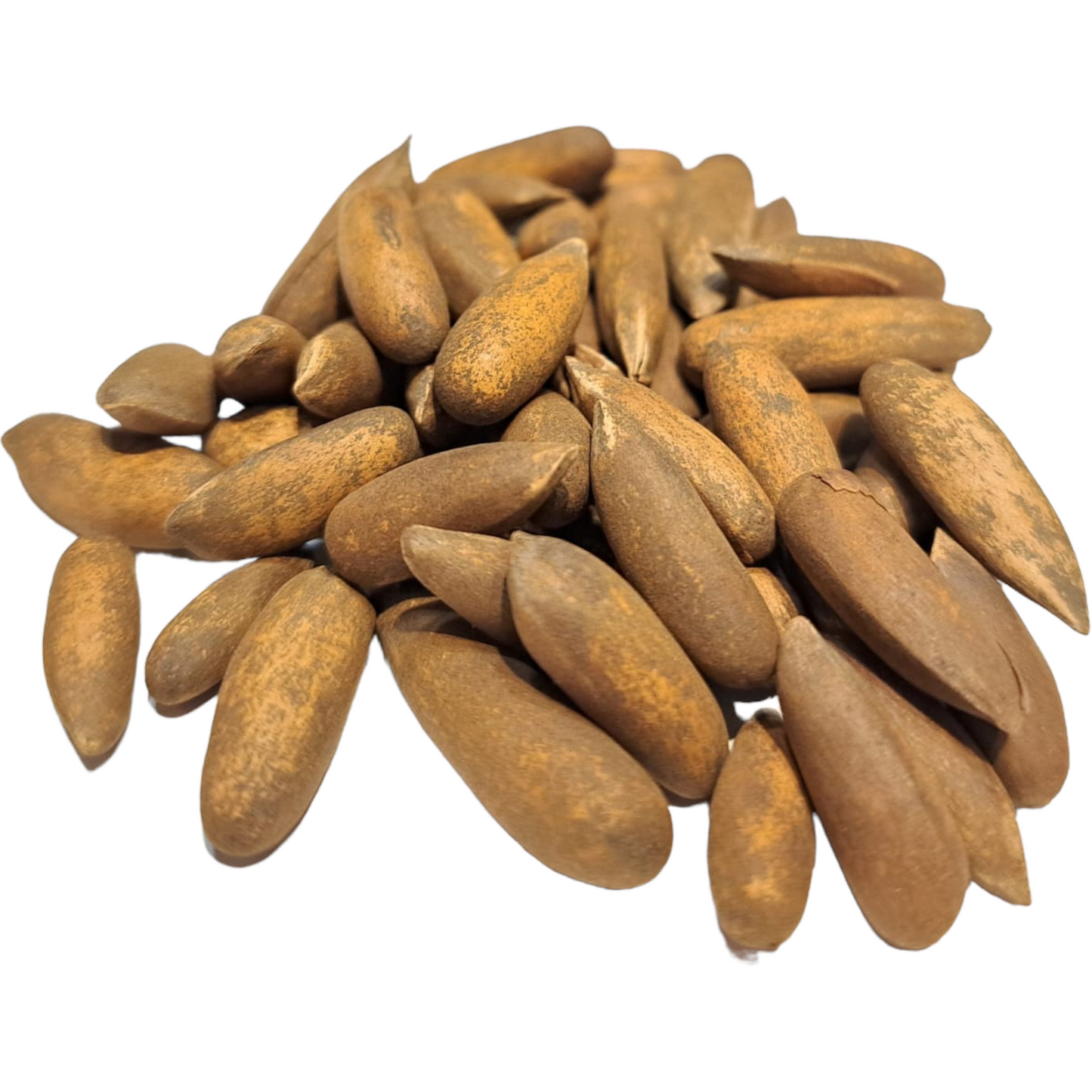 Pine nuts from Afghanistan