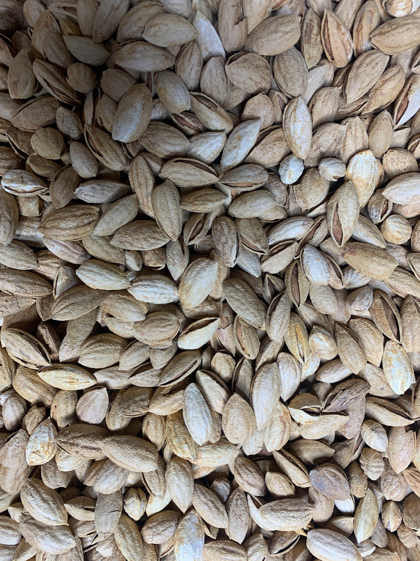 Naturliga mandlar med skal från Afghanistan 500g