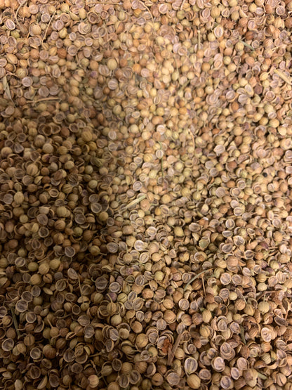 Koriander Frön Hel Från Afghanistan 75g