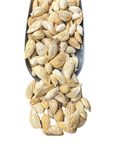 Naturella Mandlar med skal från Afghanistan / Takhar