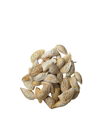 Naturella Mandlar med skal från Afghanistan / Takhar