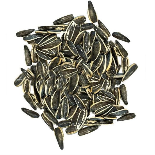 تخمه آفتابگردان بوداده/نمکی 500 گرم