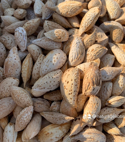 Mandel med skal från Afghanistan 500g
