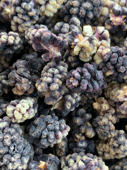 Torkade Svarta Mullbär