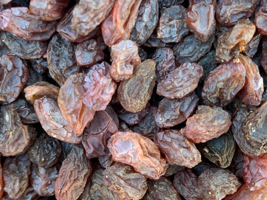 روسین پالوی از افغانستان