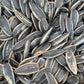 Rostade/saltade  Solrosfrön 500g