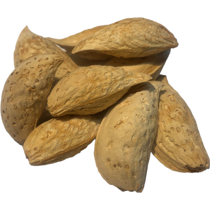 Mandel med skal från Afghanistan 500g