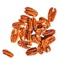گردوی آمریکایی